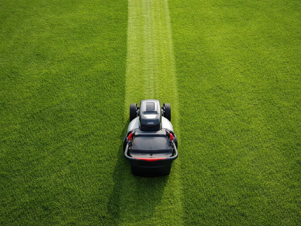 Gras knippen: wanneer, hoe vaak en maaihoogte voor een dicht gazon