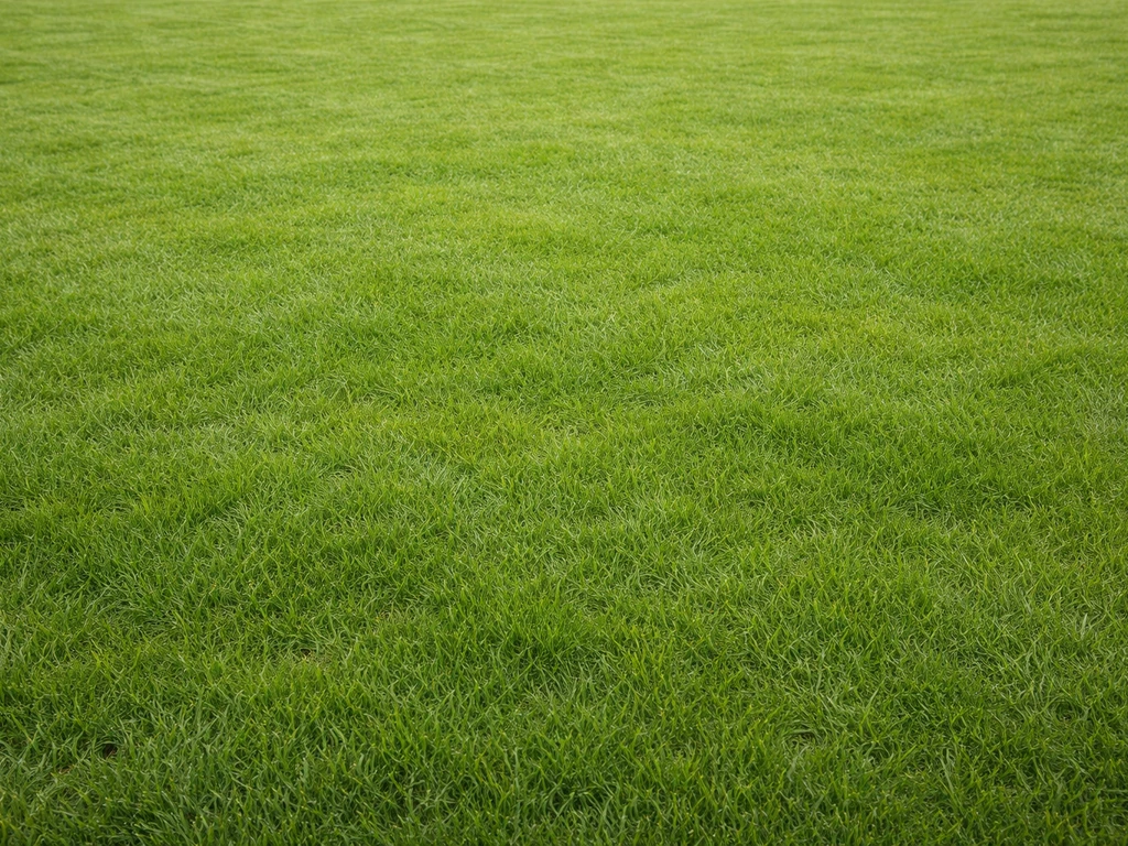 Grasveld achtergrond: diagnose en stappenplan voor een gezond gazon